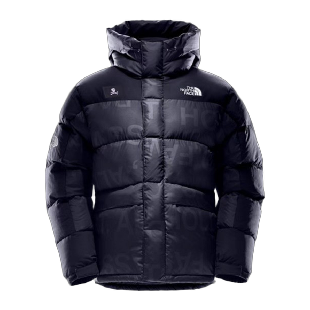 The North Face Urban Exploration Down Parka – Special Series (Style 5J27)