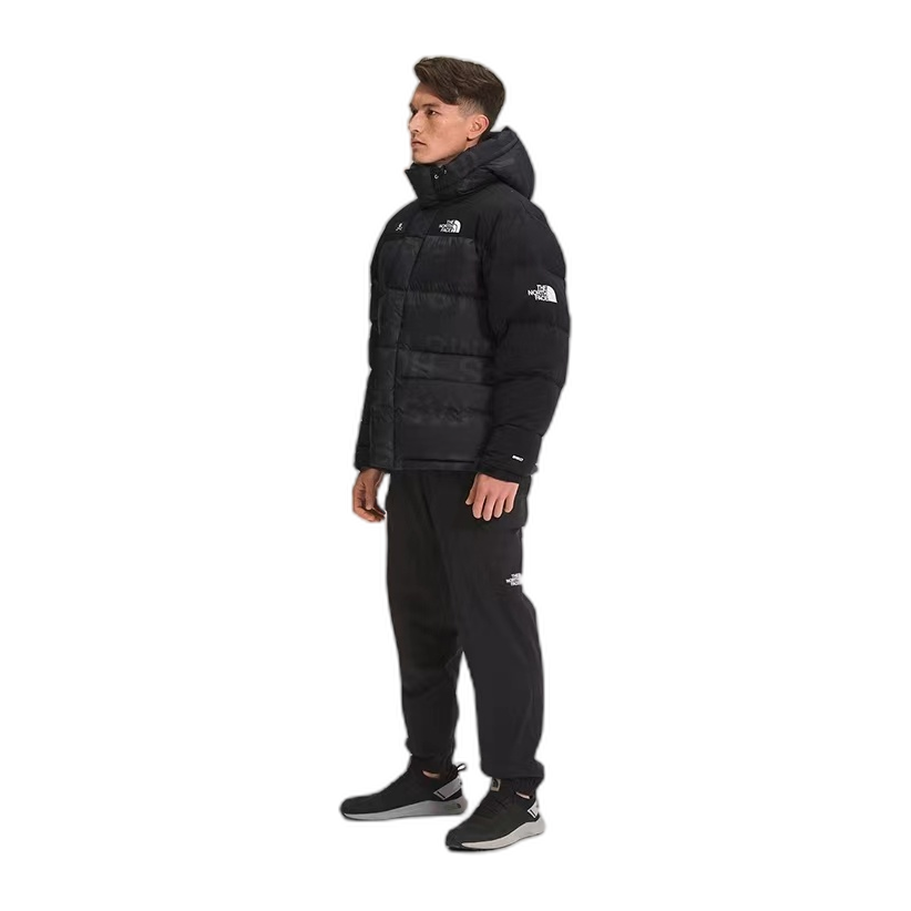 The North Face Urban Exploration Down Parka – Special Series (Style 5J27)